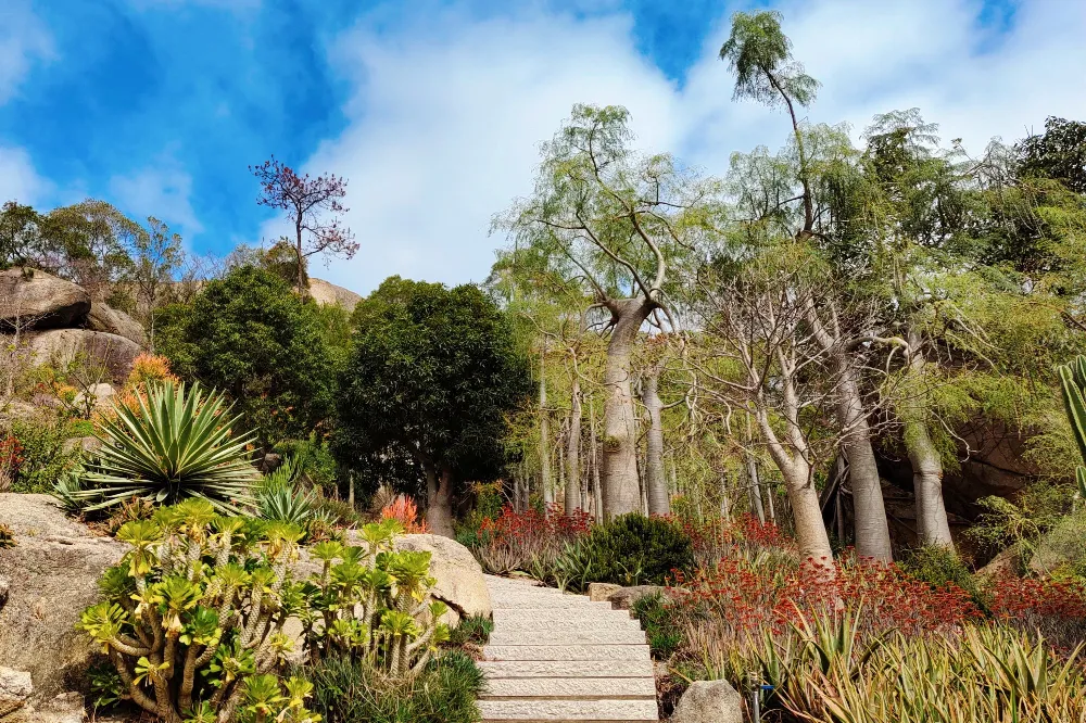 廈門園林植物園